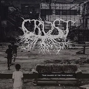 True Shades of the True World cover