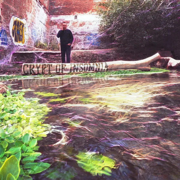 The Crypt of Insomnia cover