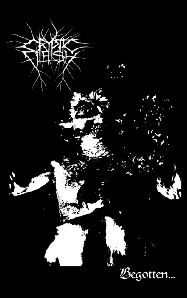 Begotten... cover