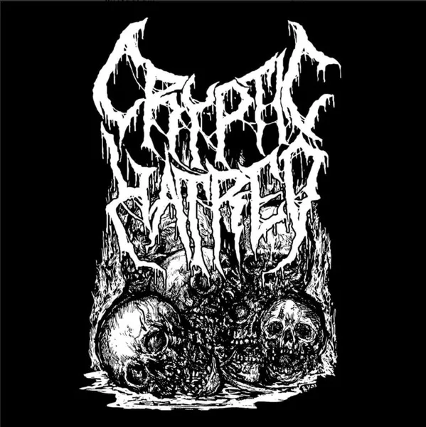 Vile Execution cover