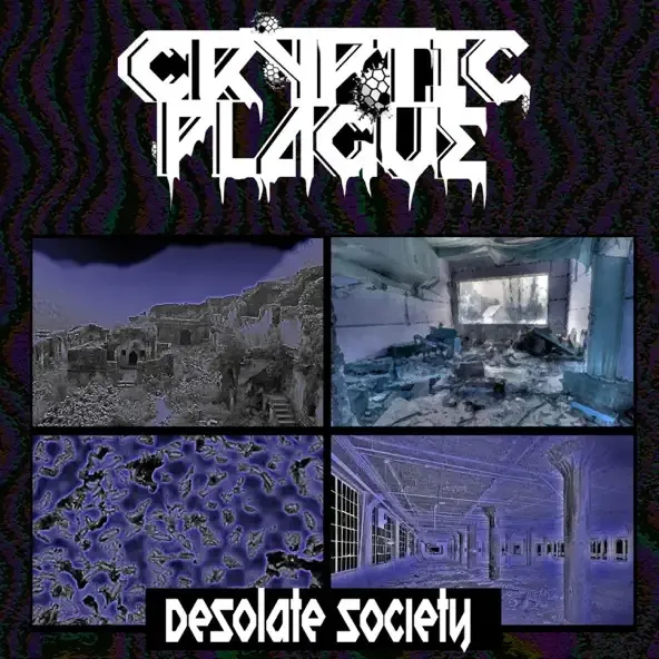Desolate Society cover