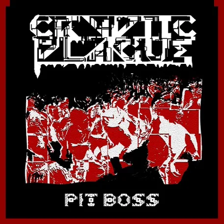 The Pit Boss cover