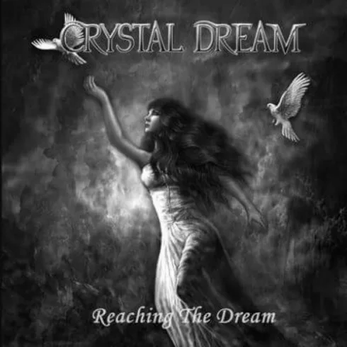 Reaching the Dream cover