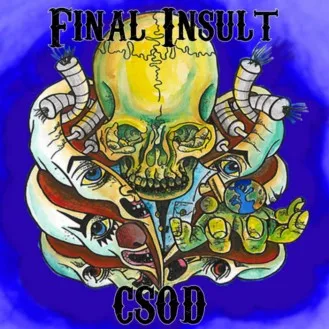 Final Insult cover