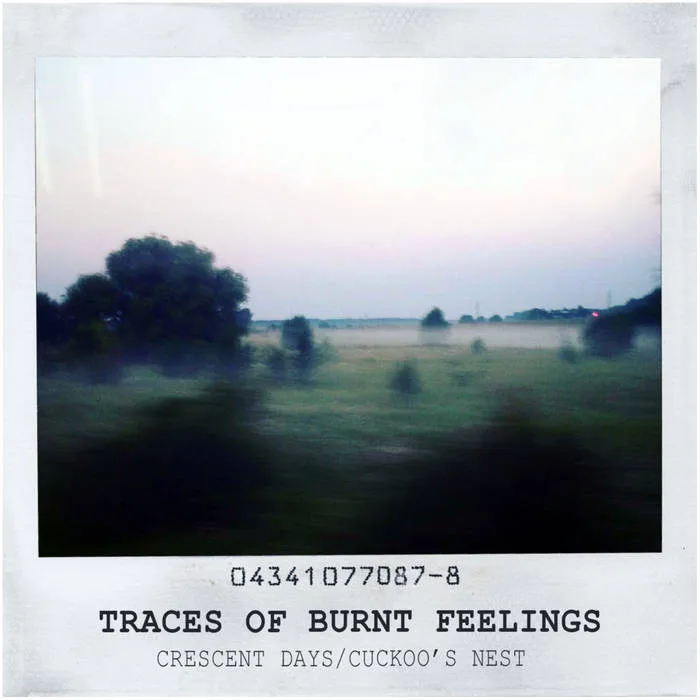 Traces of Burnt Feelings cover