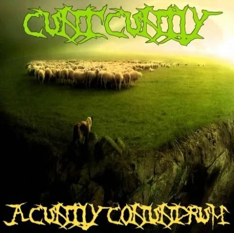 A Cuntly Conundrum cover