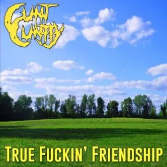 True Fuckin' Friendship cover