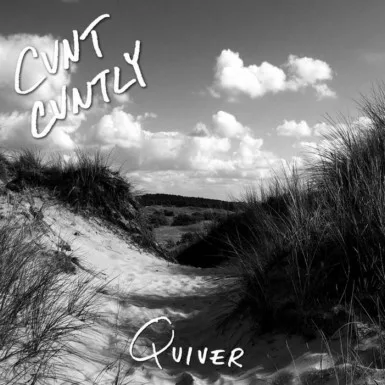 Quiver cover