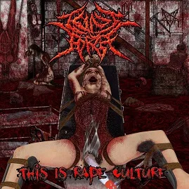 This Is Rape Culture cover