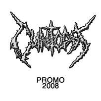 Promo 2008 cover