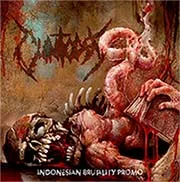 Indonesian Brutality Promo cover
