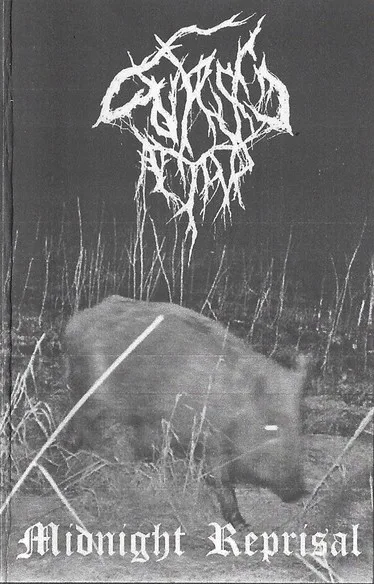 Midnight Reprisal cover