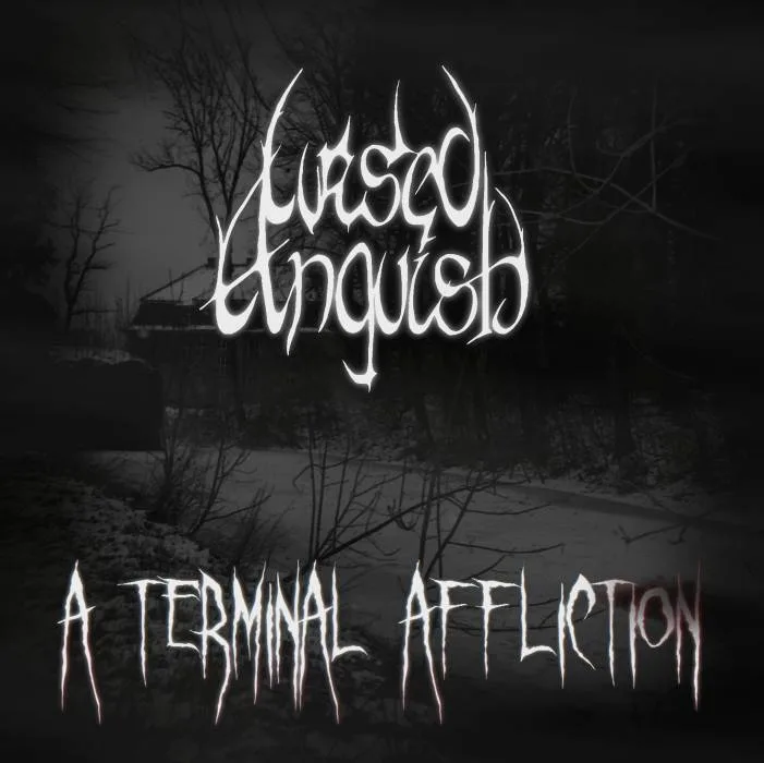 A Terminal Affliction cover
