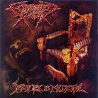 Torture Is Medicine cover