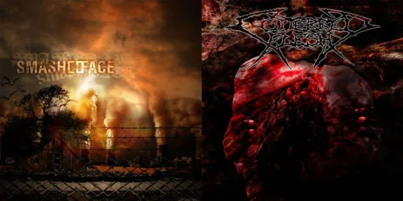 Cutterred Flesh / Smashed Face cover