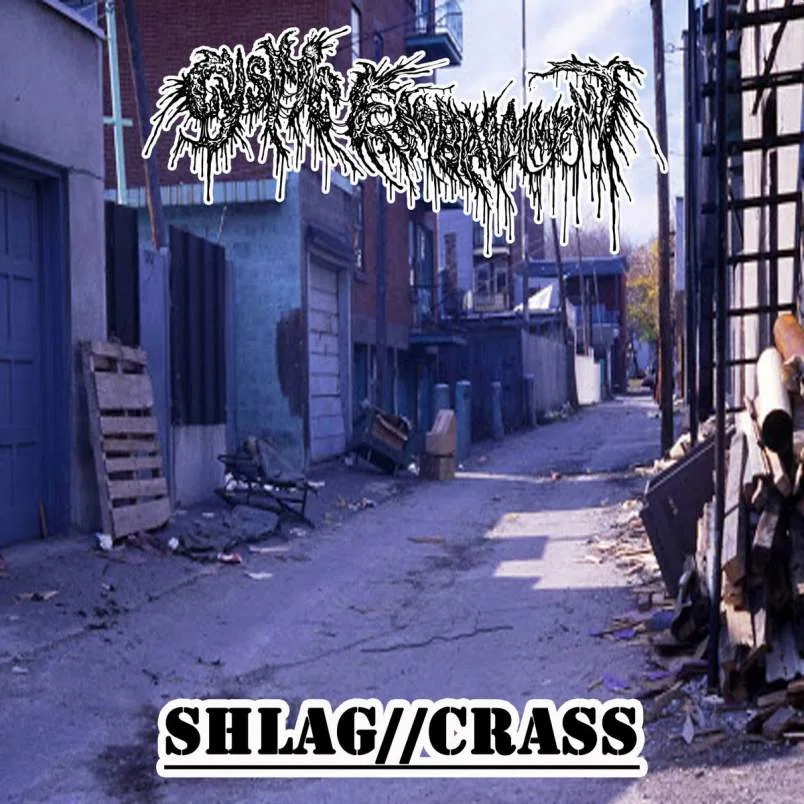 Shlag//Crass cover