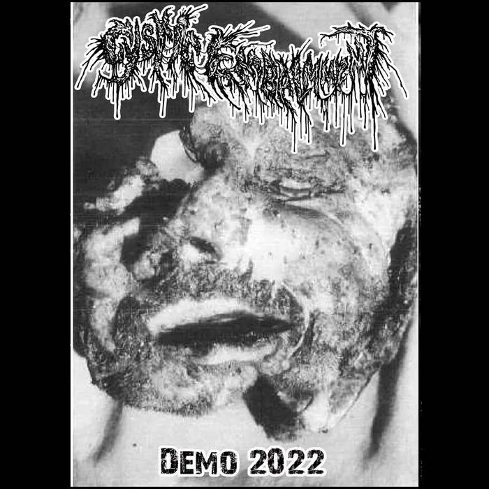 Demo 2022 cover