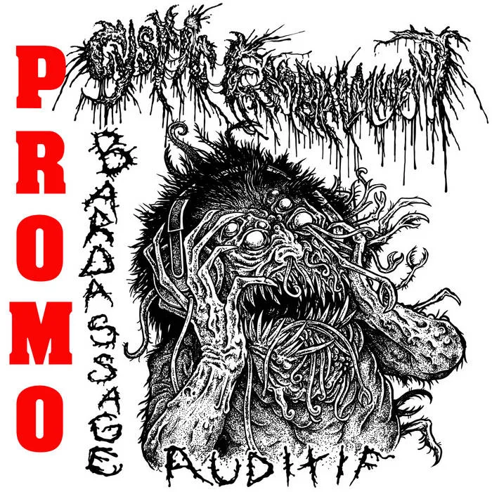 Bardassage Auditif Promo cover