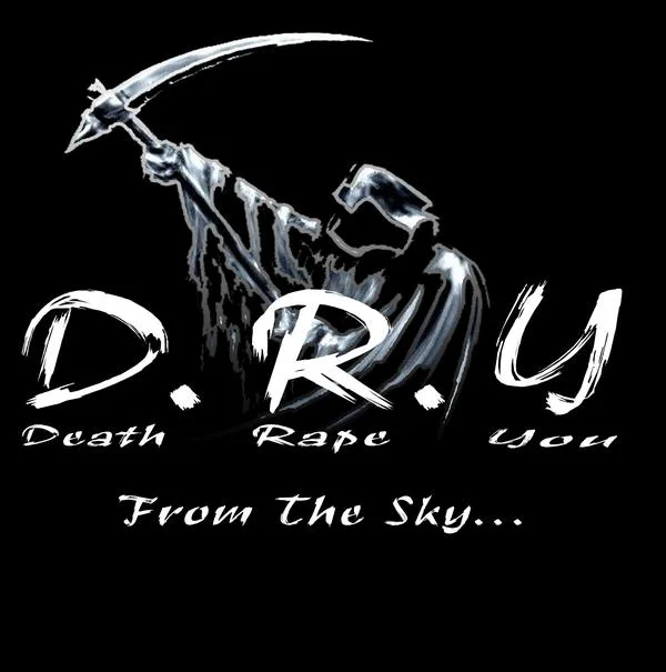 From the Sky cover