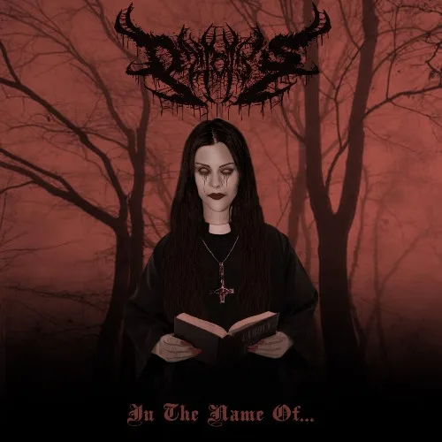 In the Name of... cover