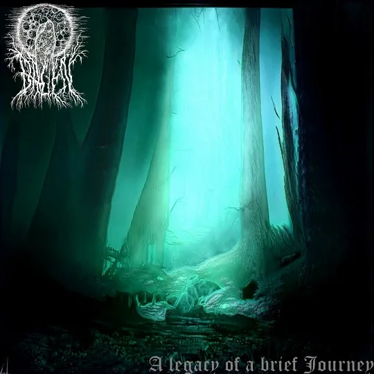 A Legacy of a Brief Journey cover