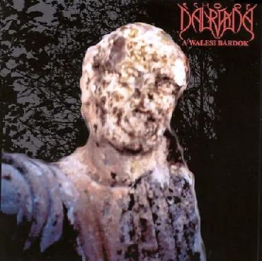 A walesi bárdok cover