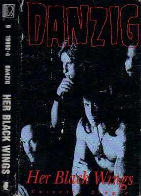 Her Black Wings cover