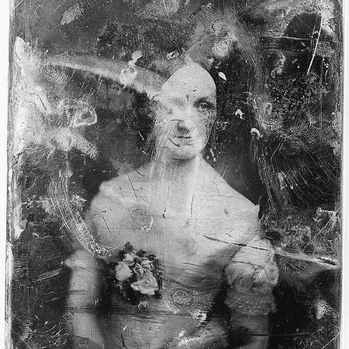 Shapeless Dreams and Formless Shadows cover