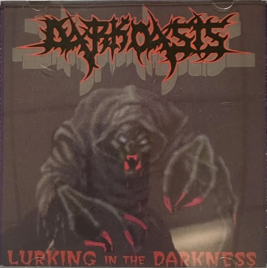Lurking in the Darkness cover