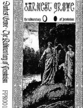 The Rudimentary of Pessimism cover