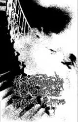 Forbidden Vocations cover