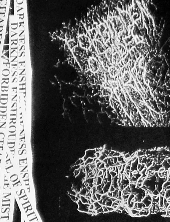 Darkness Enshrouded the Mist / Forbidden Citadel of Spirits cover