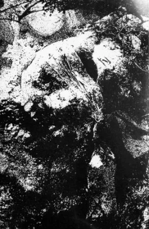 Darkness Enshrouded the Mist / Mons Veneris cover