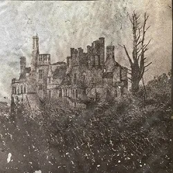 Darkness Enshrouded the Mist / Vermapyre cover