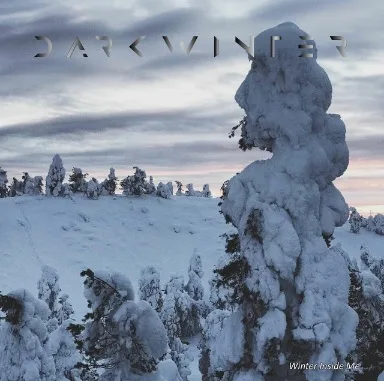 Winter Inside me cover