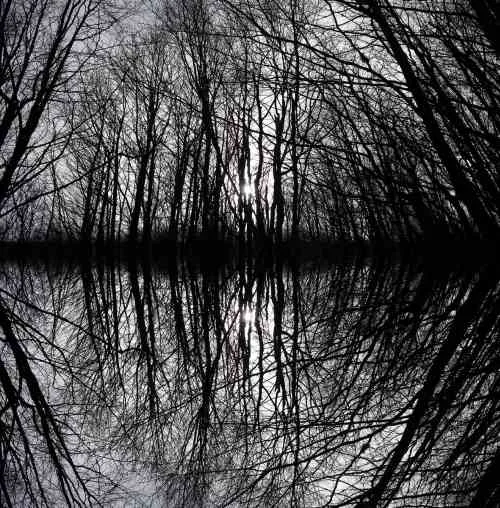 Our Sky Has Changed cover