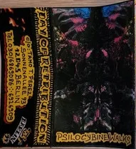 Psilocybine Walks cover