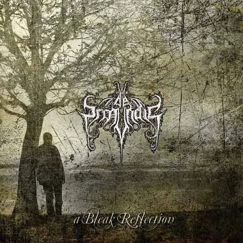 A Bleak Reflection cover