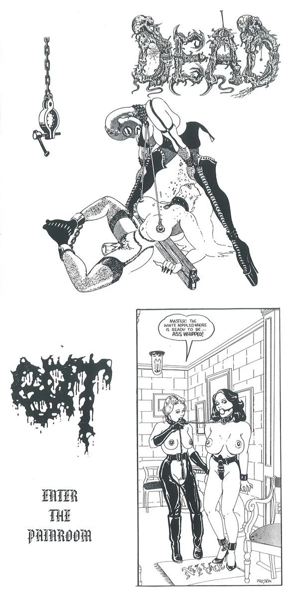 Untitled / Enter the Painroom cover