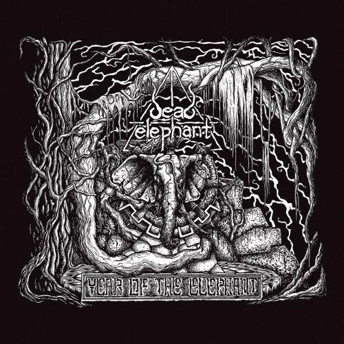 Year of the Elephant cover