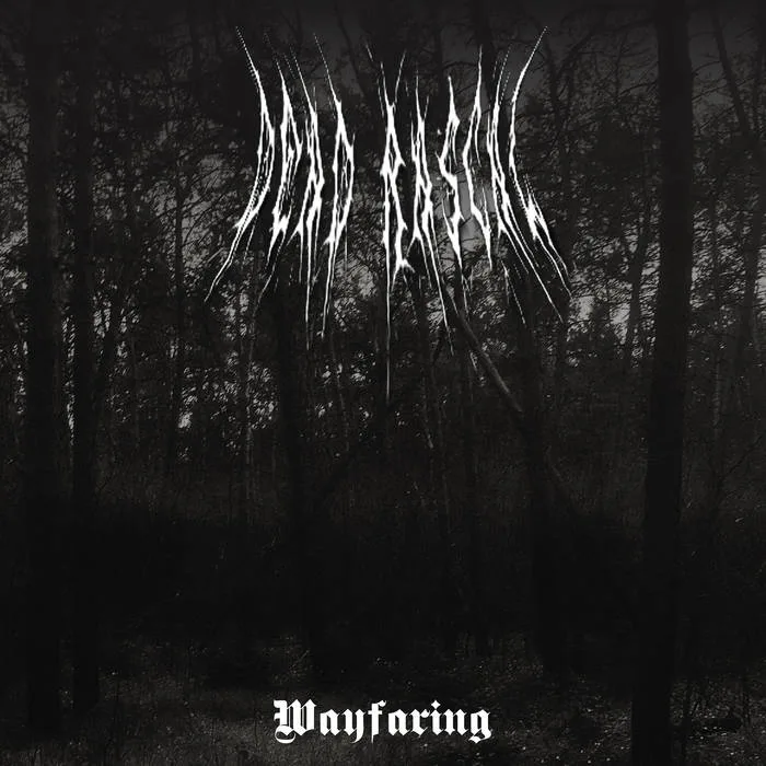 Wayfaring cover