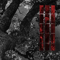 Sevenfold Songs of Death cover