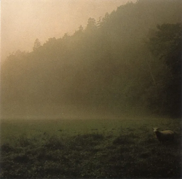 Death to Dead Wolves cover