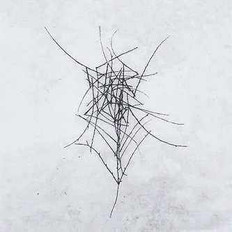 Schmerzensgewalt cover