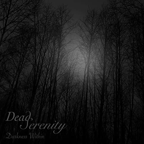 Darkness Within cover