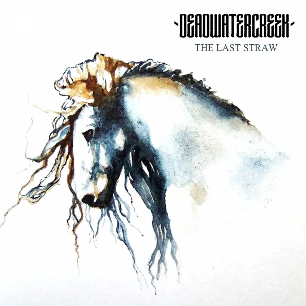The Last Straw cover