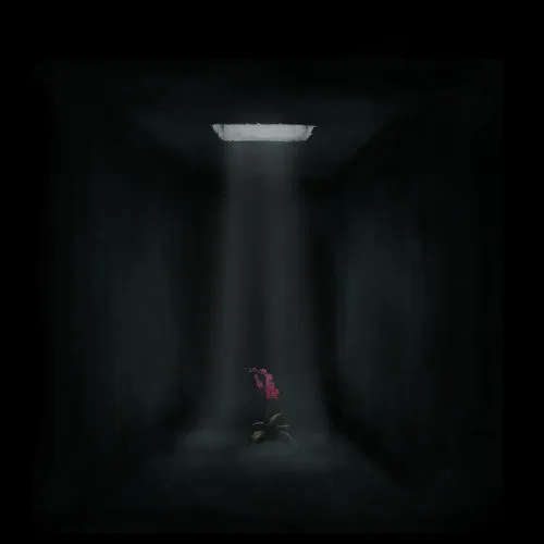 Orchids from the Abyss cover