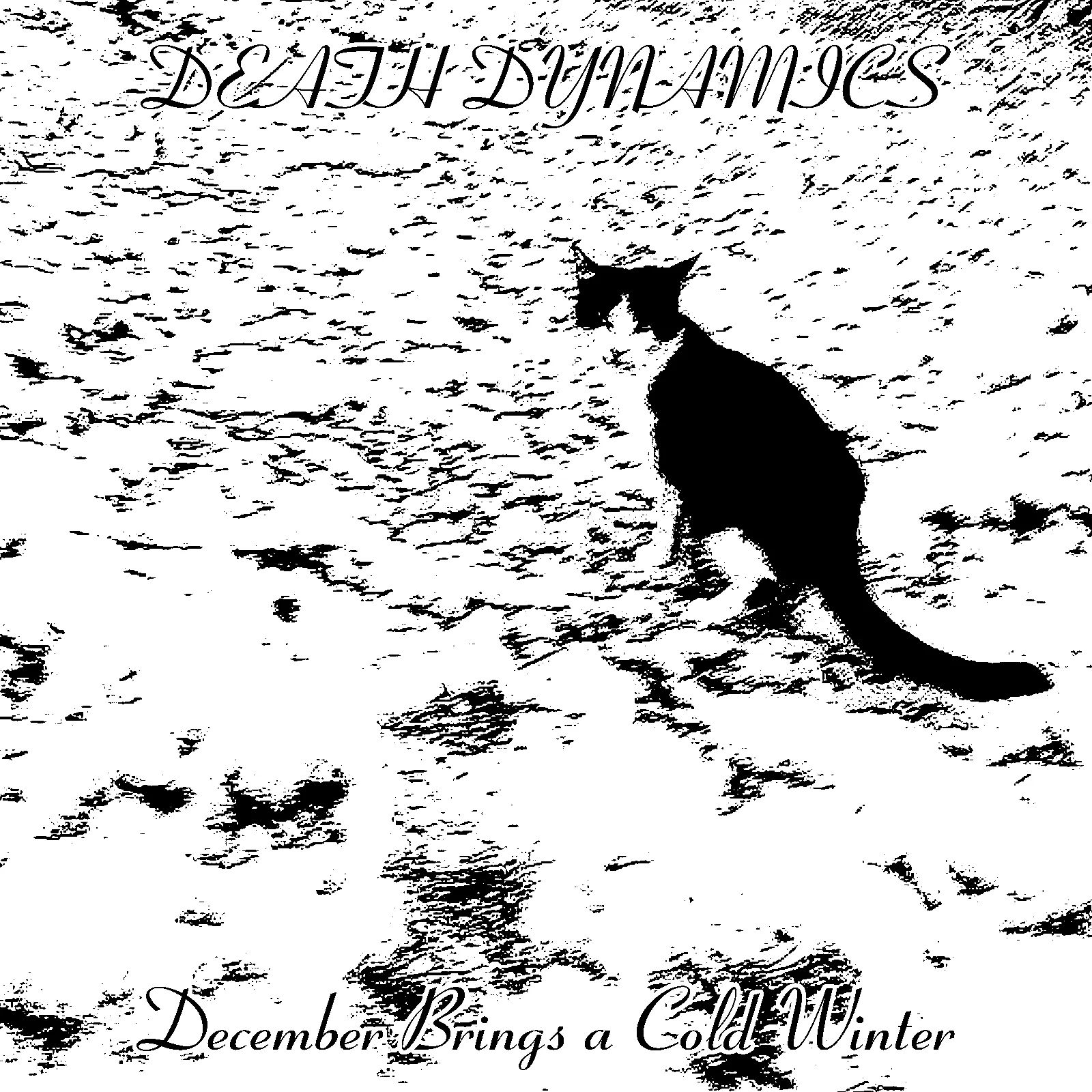 December Brings a Cold Winter cover
