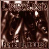 Flames of Madness cover