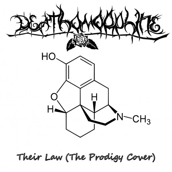 Their Law cover